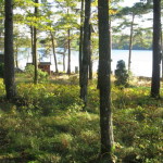 herbst_in_schweden_03