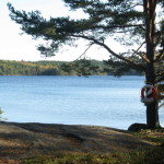 herbst_in_schweden_07