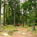 herbst_in_schweden_10
