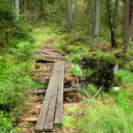 herbst_in_schweden_11