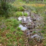 herbst_in_schweden_13