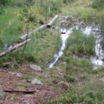 herbst_in_schweden_14