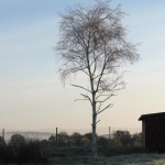 herbst_in_schweden_20