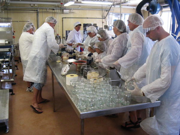 Schwedischer Hering