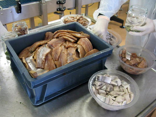 Schwedischer Hering