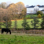 schloss_naas_herbst_01