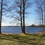 tiraholms_fisk_12