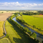 goeta_kanal_baeume