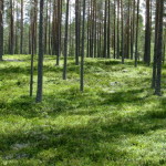kanu_nordvaermland_sysslebaeck_10