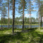 kanu_nordvaermland_sysslebaeck_11