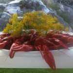 kraeftskiva_krebsfest_01