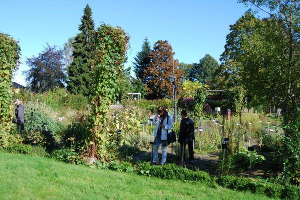 Kräutergarten Dals Rostock