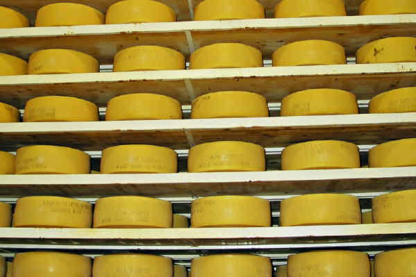 Schwedischer Käse Lagerung