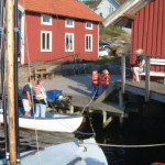 falunrot