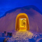 iglootel_arvidsjaur_aborrtraesk