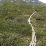 kungsleden_abisko_nikkaluokta_02