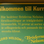kurrebo_smaland_01