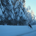 lappland_01
