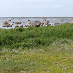 morups_tange_02