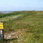 morups_tange_03