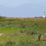 morups_tange_falkenberg