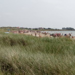 olofsbo_strand_falkenberg_04