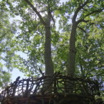 christinehof_schloss_ekopark_05