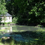 christinehof_schloss_ekopark_06