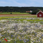 oestergoetland_01
