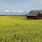 oestergoetland_02
