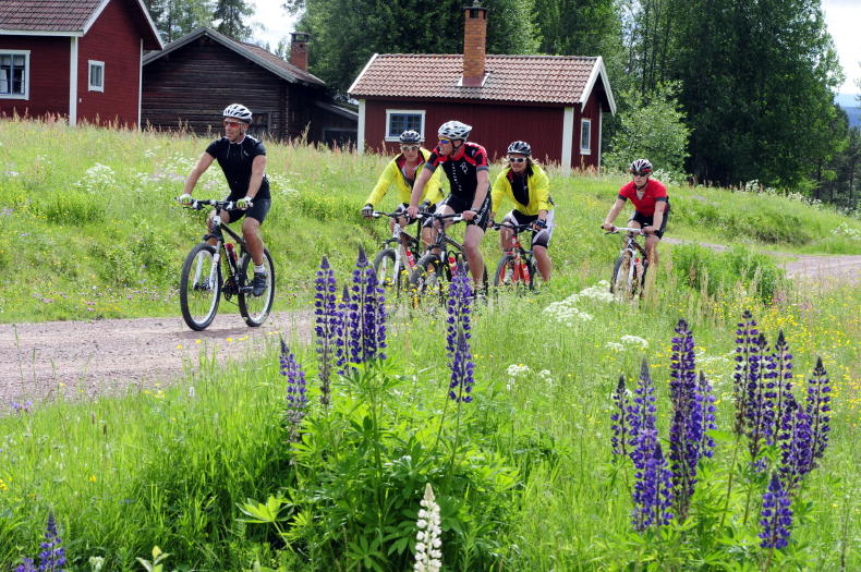 Radfahren in Schweden