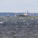 windsurfen_schweden_08