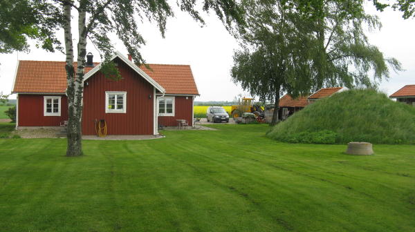 Spargel aus Schweden