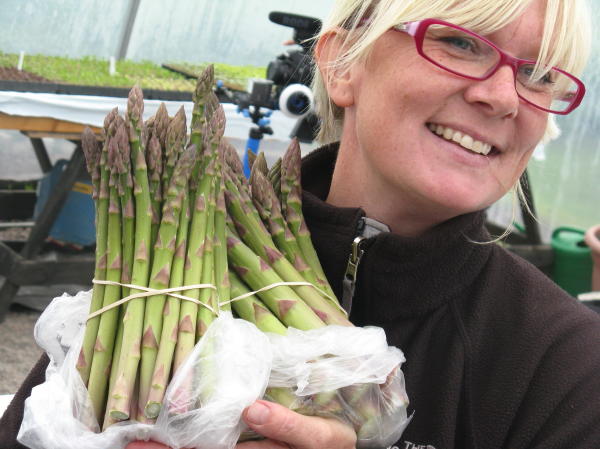Spargel aus Schweden