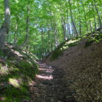 soederasen_01