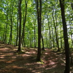 soederasen_02