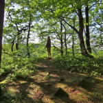 soederasen_03