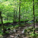 soederasen_09