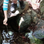 soederasen_12