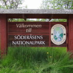 soederasen_19