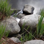 soermland_03