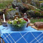 soermland_15