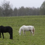 soermland_20