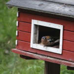 store_mosse_nationalpark_02