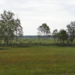 store_mosse_nationalpark_03