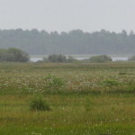 store_mosse_nationalpark_04