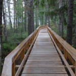 store_mosse_nationalpark_07