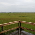 store_mosse_nationalpark_09