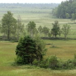 store_mosse_nationalpark_14