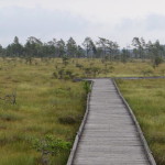 store_mosse_nationalpark_16